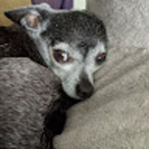 Meet your Posher, Meagan